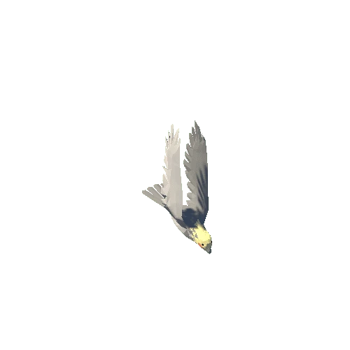 Low Poly Cockatiel 02 Variant